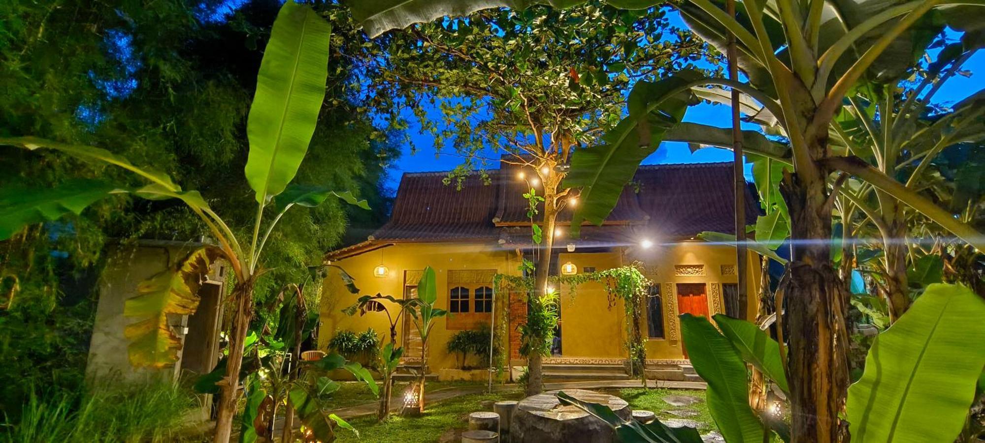 Damuh Guest House Ubud  Ngoại thất bức ảnh